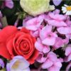 شناخت زیبایی و جادوی گل‌های خوشبو